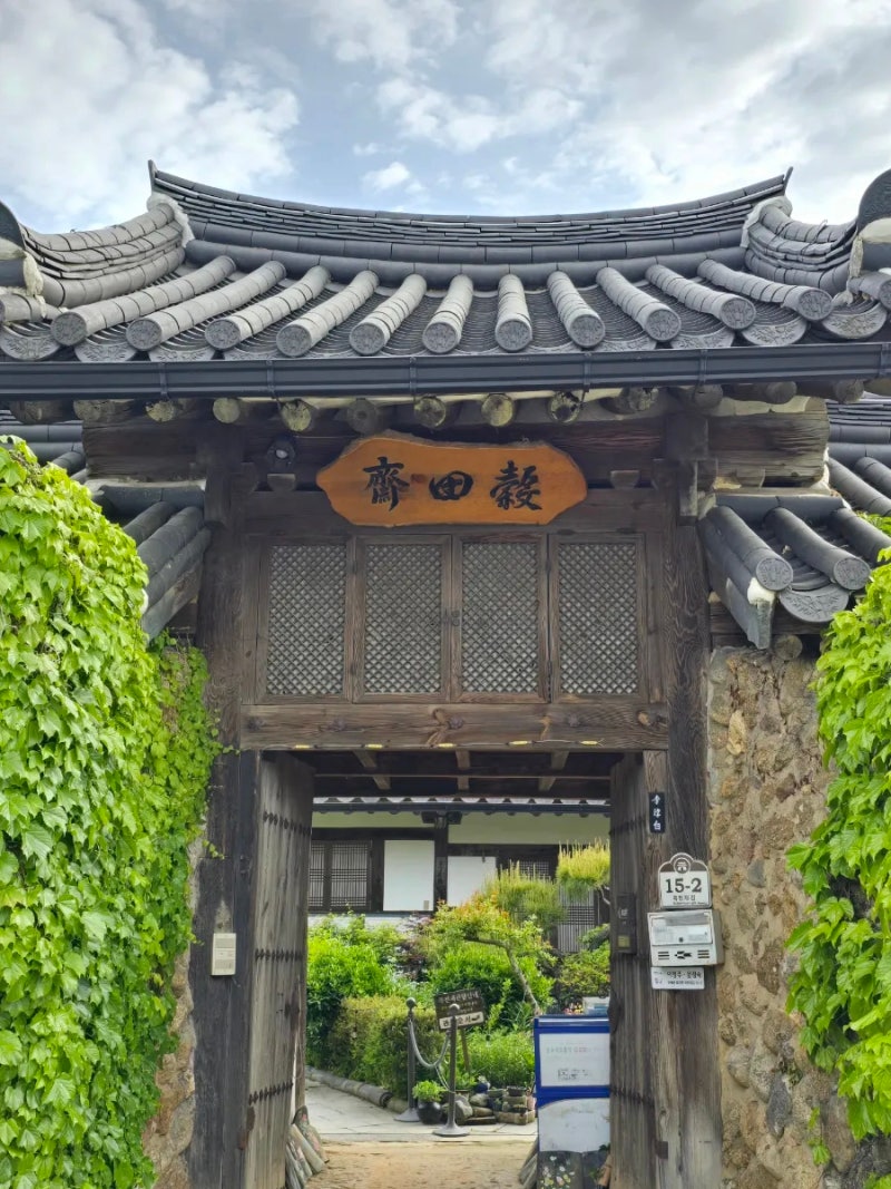 사진 5
