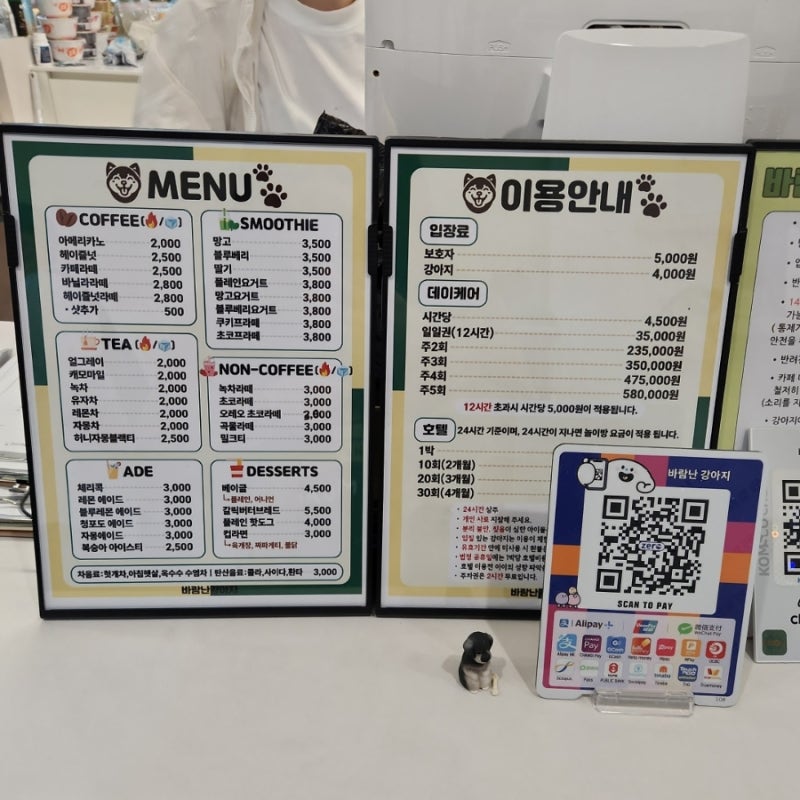 사진 6