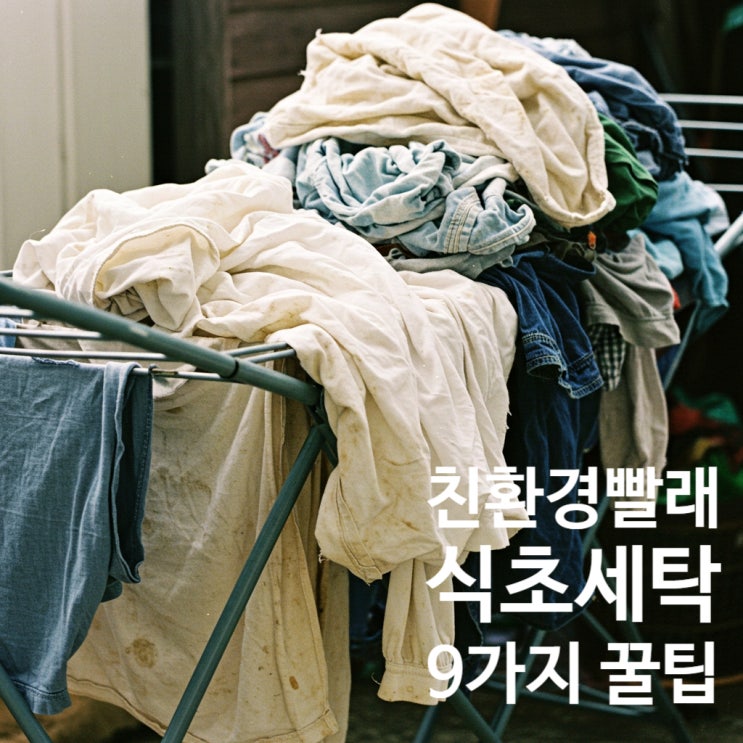  친환경 빨래, 세탁 식초 활용 꿀팁 9가지