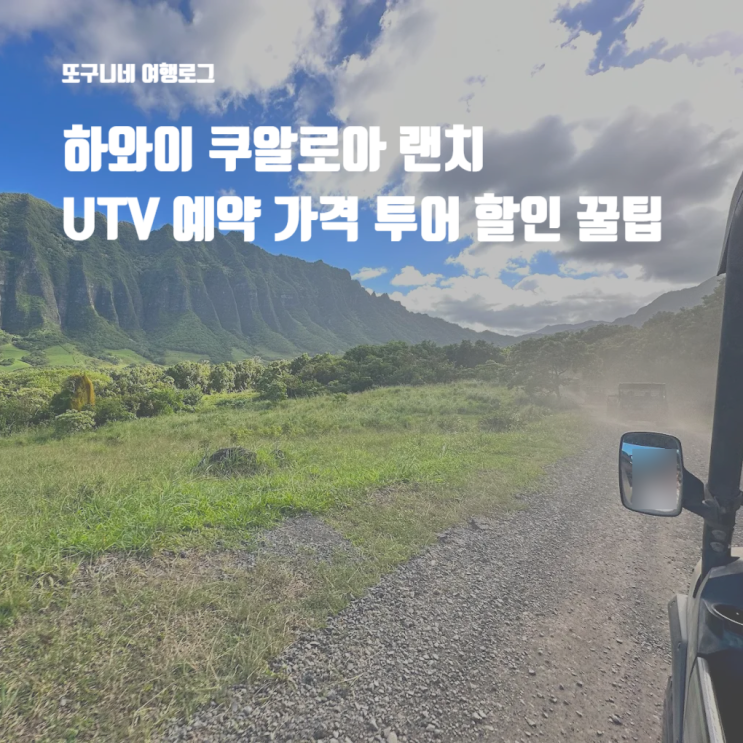  하와이 쿠알로아 랜치 UTV 예약 투어 가격 셔틀 할인 꿀팁