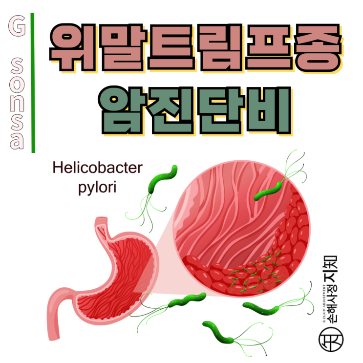  위말트림프종 (MALT)도 엄연한 암! 암진단비 거절당했다면 이것부터 확인하세요 - [보험금, BA+DA]