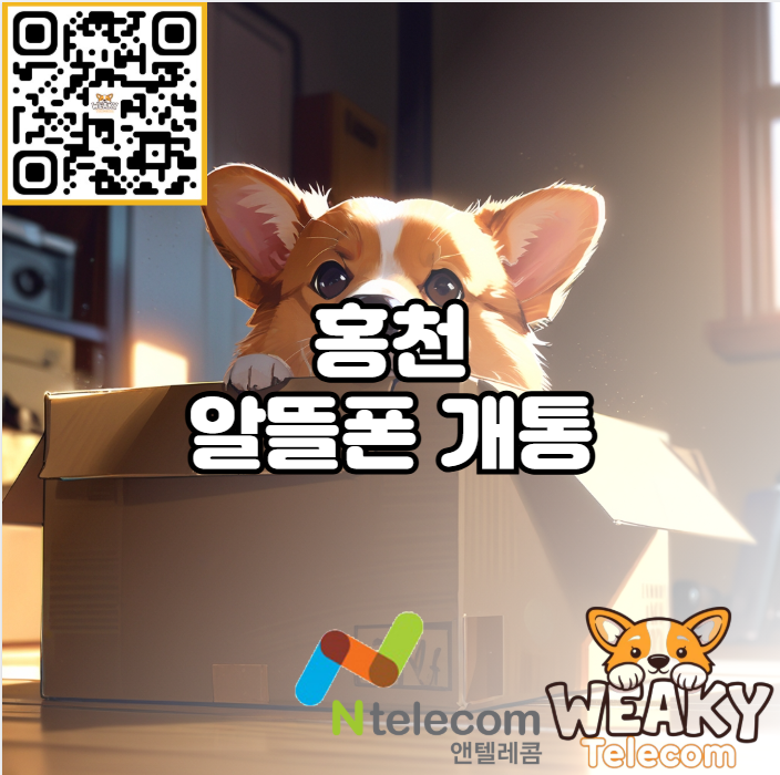  홍천 알뜰폰 개통 비대면 셀프 개통 및 대리점 방문 개통 방법을 알아보자