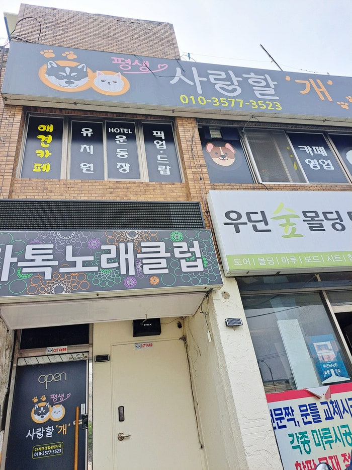 사진 5