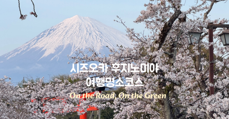 시즈오카 후지노미야 렌트카 벚꽃 여행 코스 추천! (꿈의대교 - 타누키호수 - 센겐대사용옥지 )