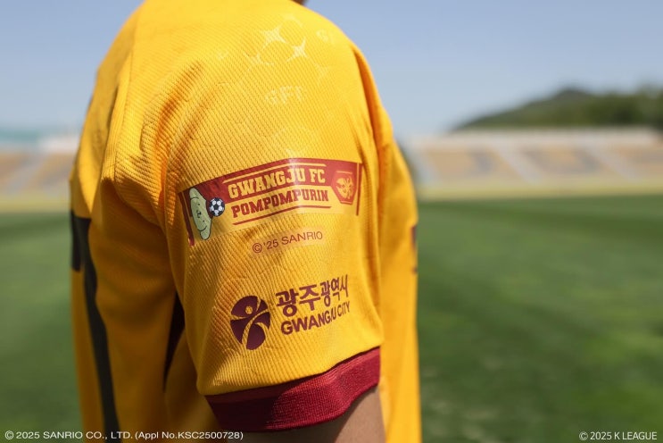 연대기여금 <b>논란</b>… FIFA가 <b>징계</b>했는데 몰랐다고? <b>광주FC</b>의... 