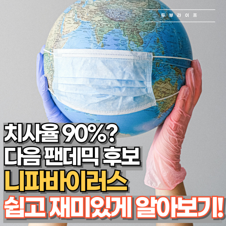  치사율 90%? 다음 팬데믹 후보 '니파바이러스', 쉽고 재미있게 알아보기!