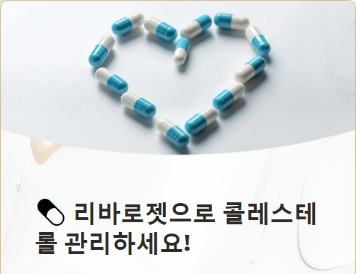  리바로젯 가격, 효능, 부작용 총정리!콜레스테롤 관리하자!