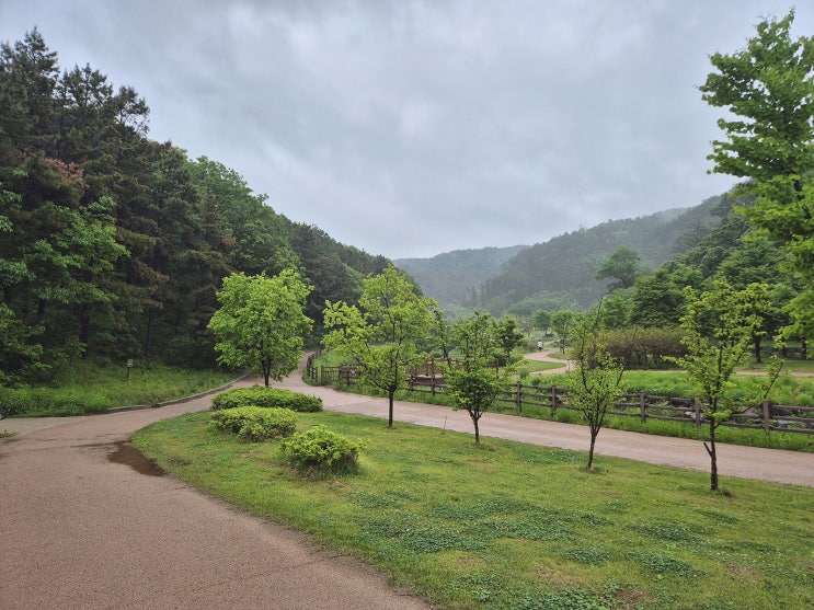  폭우 후의 산책 - 호기심건축사
