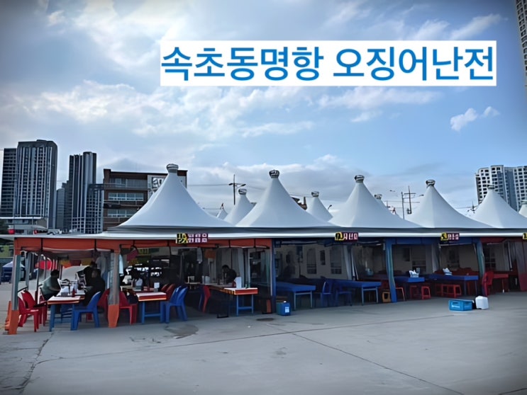  오징어를 먹기위해 방문한 속초 동명항 - 오징어난전 오징어실망 후기 (일요일휴무)