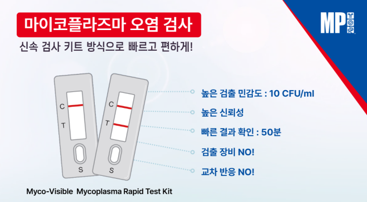  세포 배양의 필수 단계, MP Bio Mycoplasma Rapid Test Kit로 간편하게 마이코플라즈마 검출하기