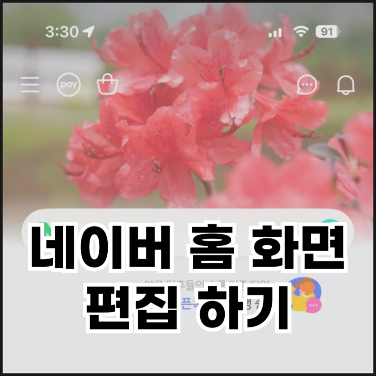  네이버 홈 편집하기(화면 스타일, 글꼴, 메인 커버 설정)