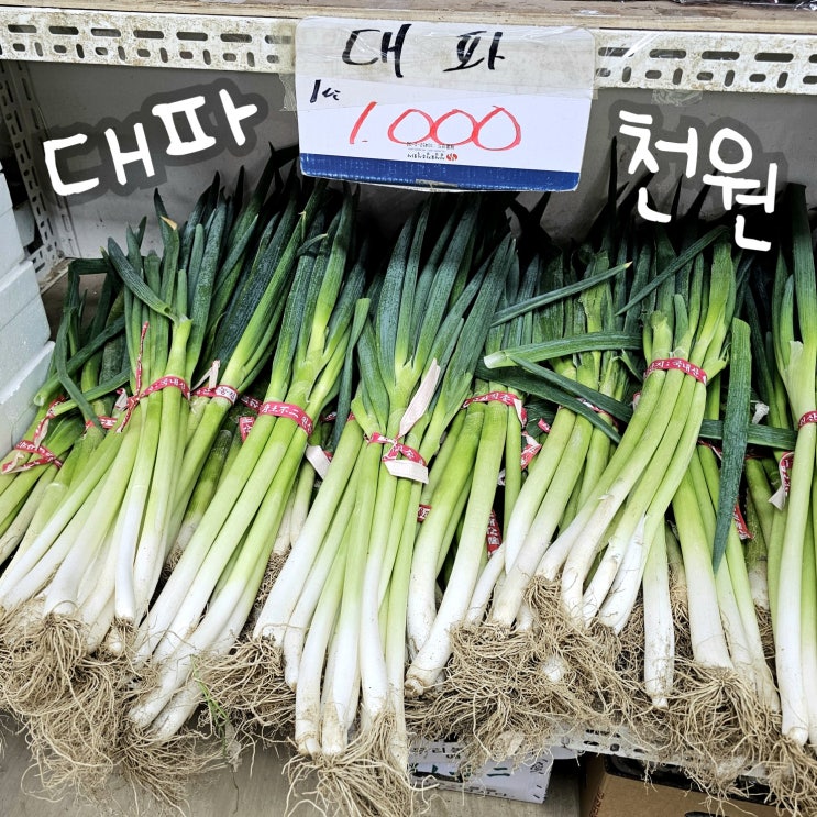  변비 구세주 아이스크림 헉! 시장 장보기 요리 일상 이야기