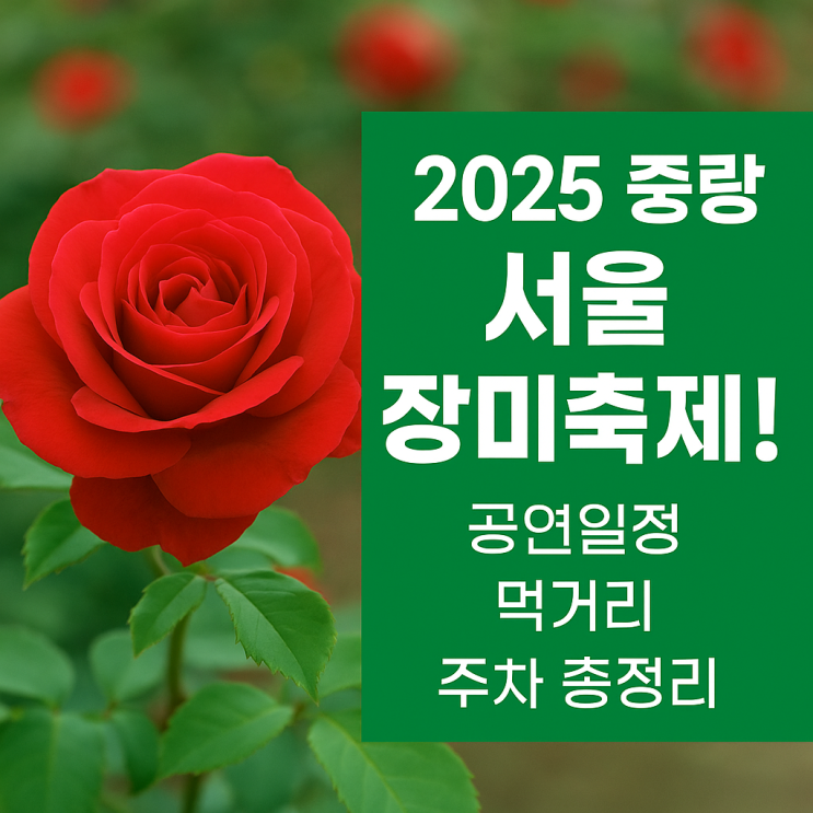 <b>송가인</b>과 함께하는 2025 중랑 서울<b>장미축제</b>! 공연일정, 먹거리... 