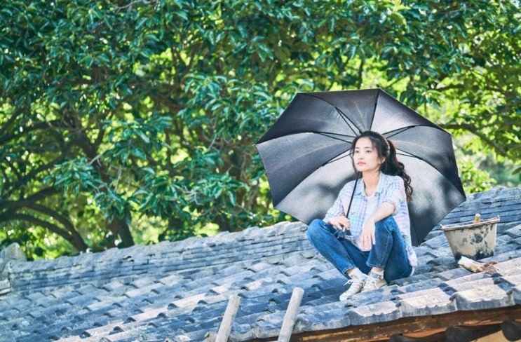 영화와 음악, 그리고 아카시아꽃 튀김 이야기 영화와 음악, 그리고 아카시아꽃 튀김 이야기