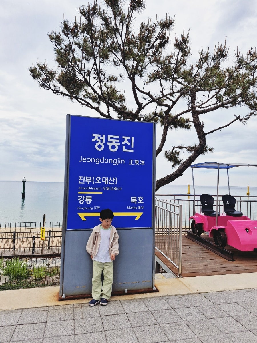 다미가 사진 2