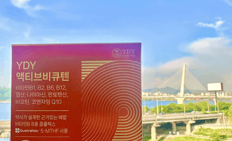 고약사님 추천 YDY 액티브비큐텐 언박싱 & 복용 후기 ✨