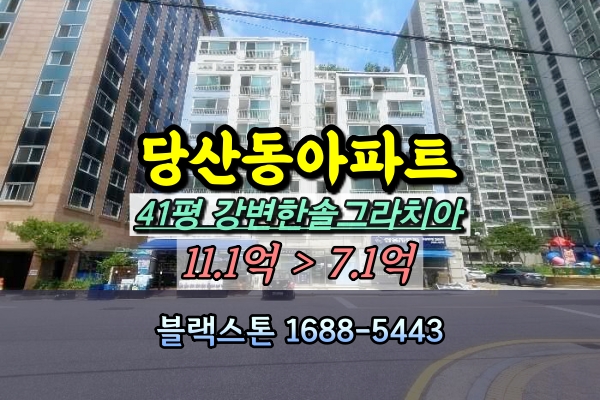  당산동 강변한솔그라치아 경매 41C평 선순위전입자파악 [2024타경122944]