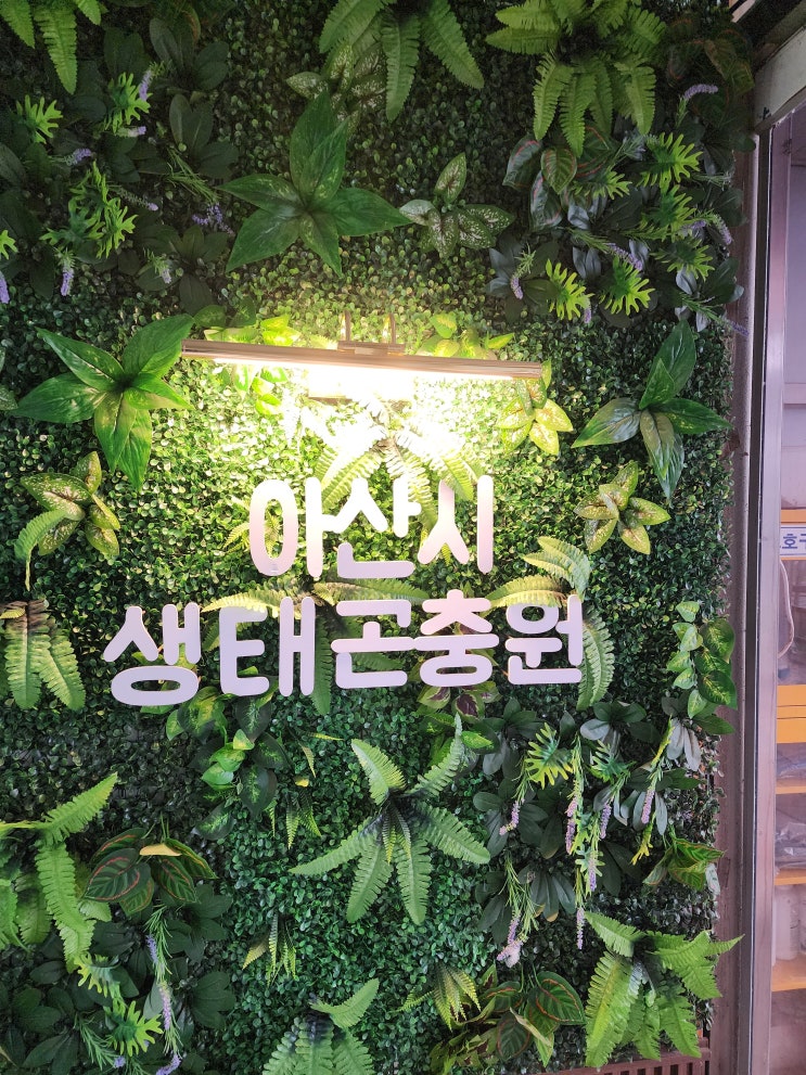  아산 비 오는 날 아이랑 함께 가기 좋은 곳 "아산생태곤충원"