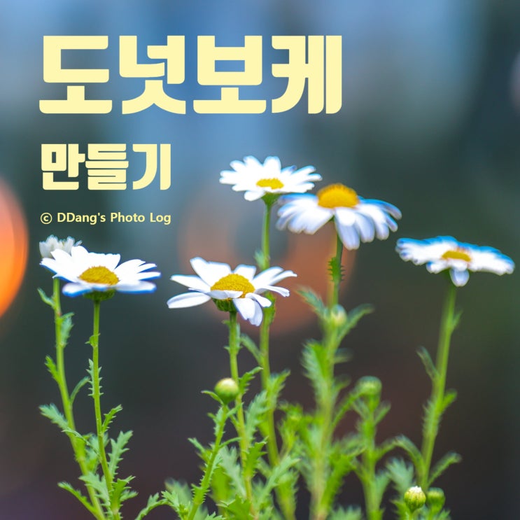  시그마 Art 135mm 렌즈 + 미러필터로 담은 도넛 보케｜대학로에서 창덕궁으로 가는 길에...