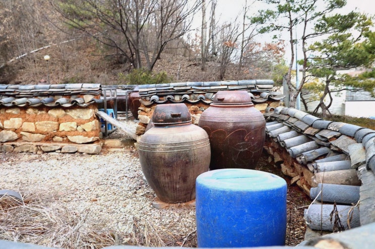  [맛집리뷰] 도담삼봉가마솥손두부, 건강하고 신선한 맛의 충북 단양 맛집