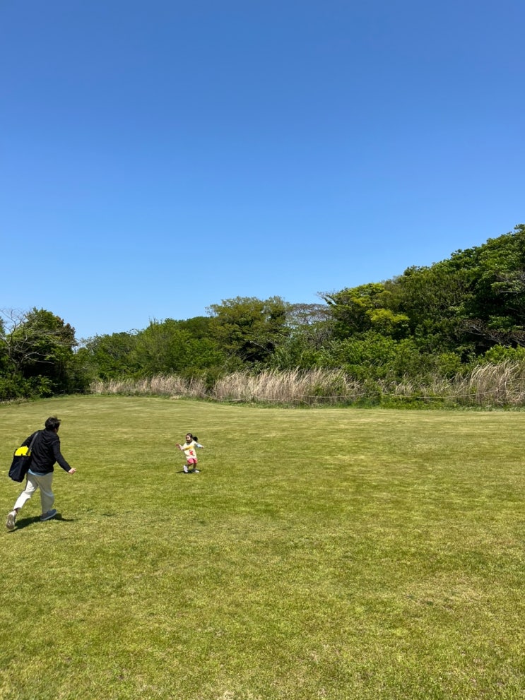 제주 에코랜드에서 아이와 함께한 힐링 가득한 하루 (day - 2)