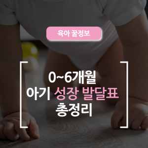  0~6개월 아기 성장 발달표 & 체크리스트 총정리