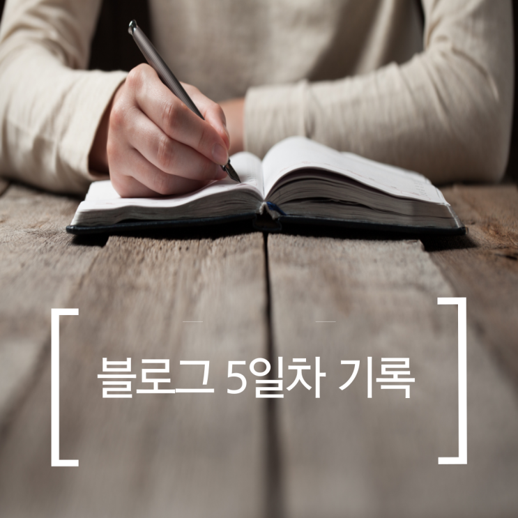  [블로그 5일차] 다시 시작하는 블로그, 소소하지만 꽤 진심입니다!