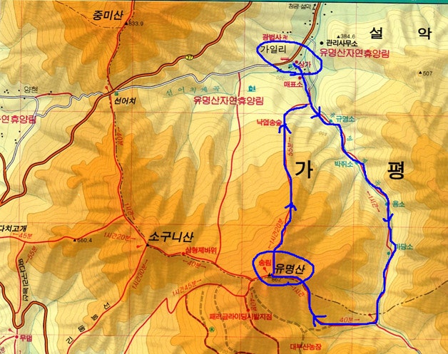청평유원지캠프장 사진 2