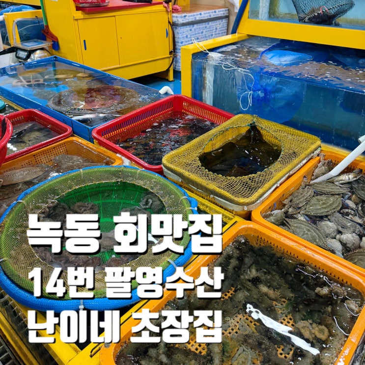  고흥 녹동항 맛집 탐방 신선한 회와 달콤한 호떡, 바다 정원 드론쇼 일정