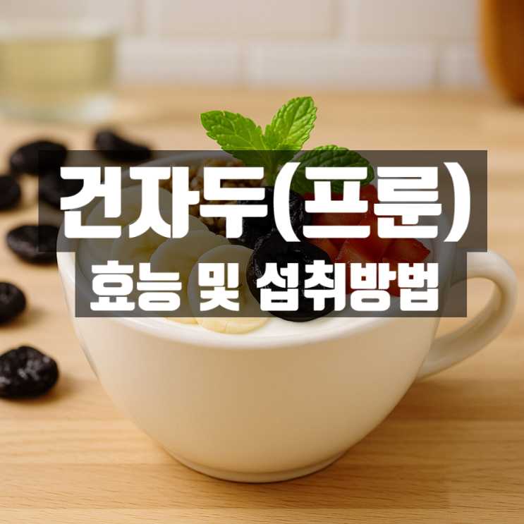  건자두 효능 섭취법 총정리 – 프룬으로 사계절 내내 챙기는 건강 루틴