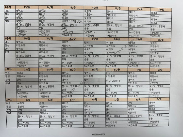  스위치온 다이어트 : 한 달간 진행 후기 및 두 달 후의 변화 1탄