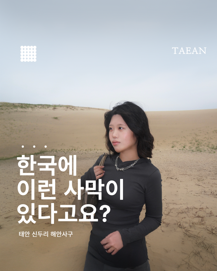  이국적인 한국의 사막을 걷다 태안 신두리 해안사구 힐링 여행