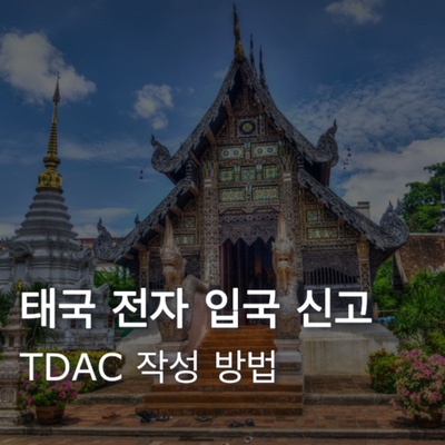  태국 여행 준비물 TDAC 전자 입국신고 작성방법