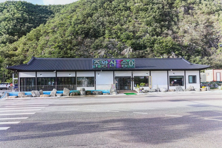  주왕산송어, 주왕산 맛집에서 즐기는 신선한 송어회
