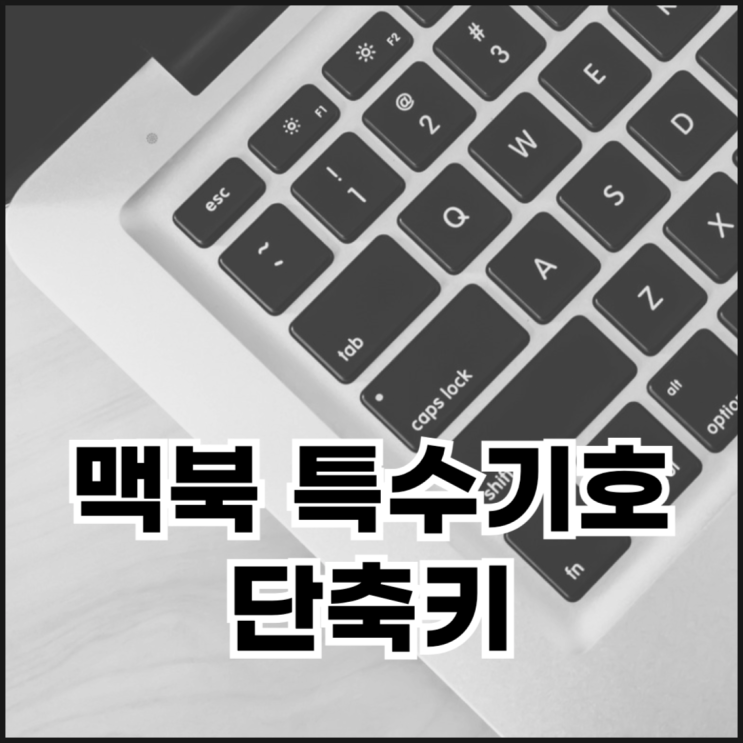  맥북 표정 특수기호 이모티콘 이모지 사용 방법
