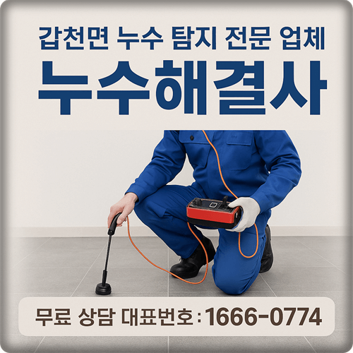  갑천면 누수 탐지 주택 누수 공사 전문 업체 누수 해결사