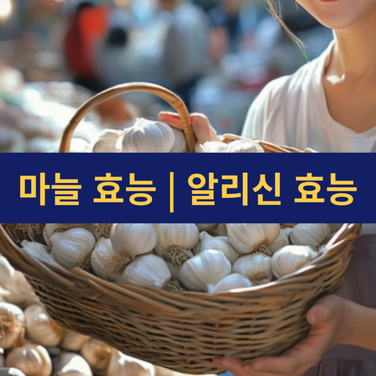  마늘 효능 | 알리신 효능 | 인류의 건강을 지켜온 천연 슈퍼푸드의 모든 것
