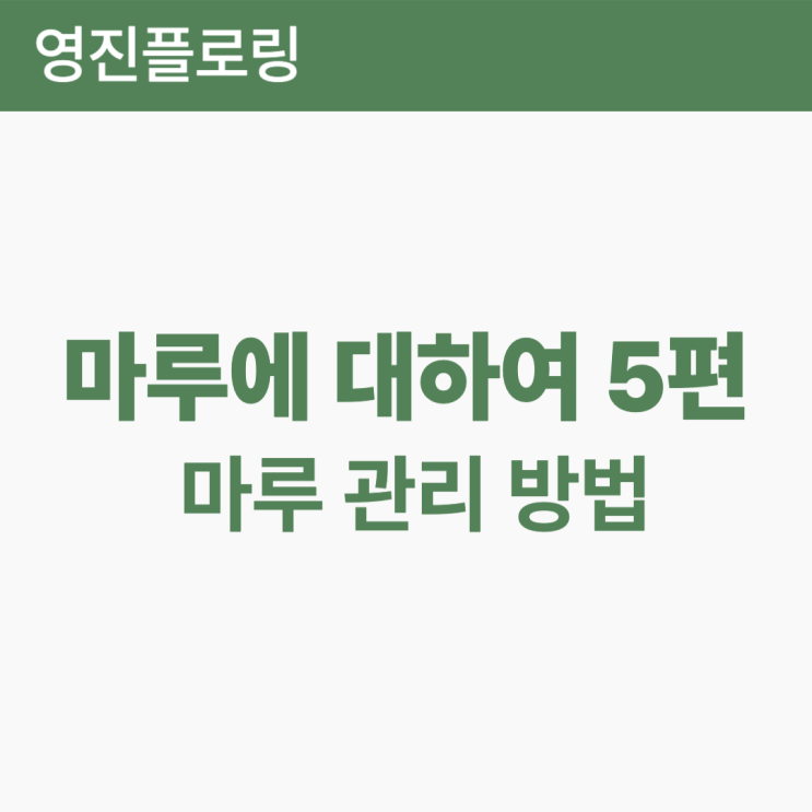  마루에 대하여 5편 - 마루관리법