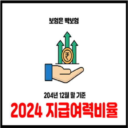  2024년 12월 기준 보험회사 지급여력비율 현재상황