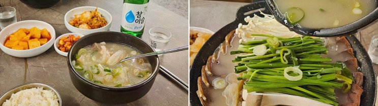  [서초도가니탕 서초본점] 고터도가니탕으로 즐기는 환상적인 스페셜 모듬수육!