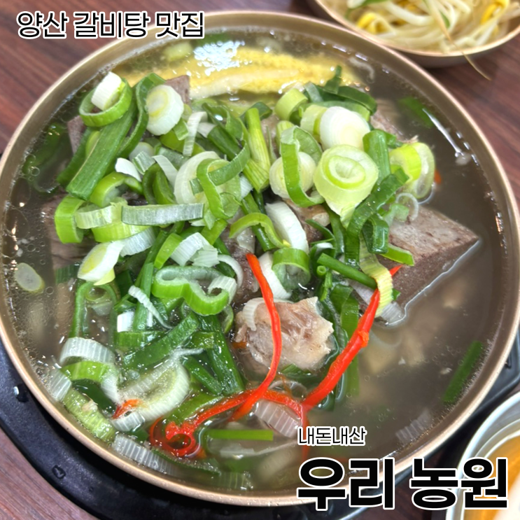  [양산 갈비탕 맛집] 양산 부모님 점심 맛집_우리농원