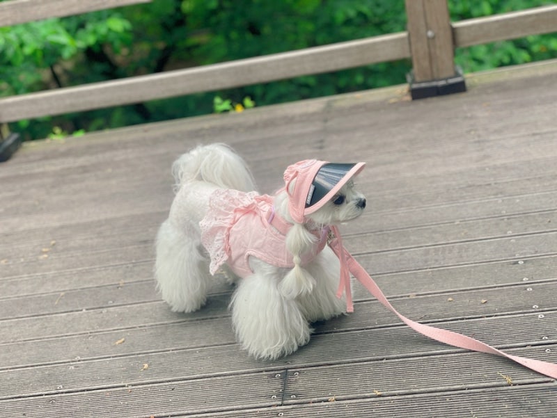 사진 5