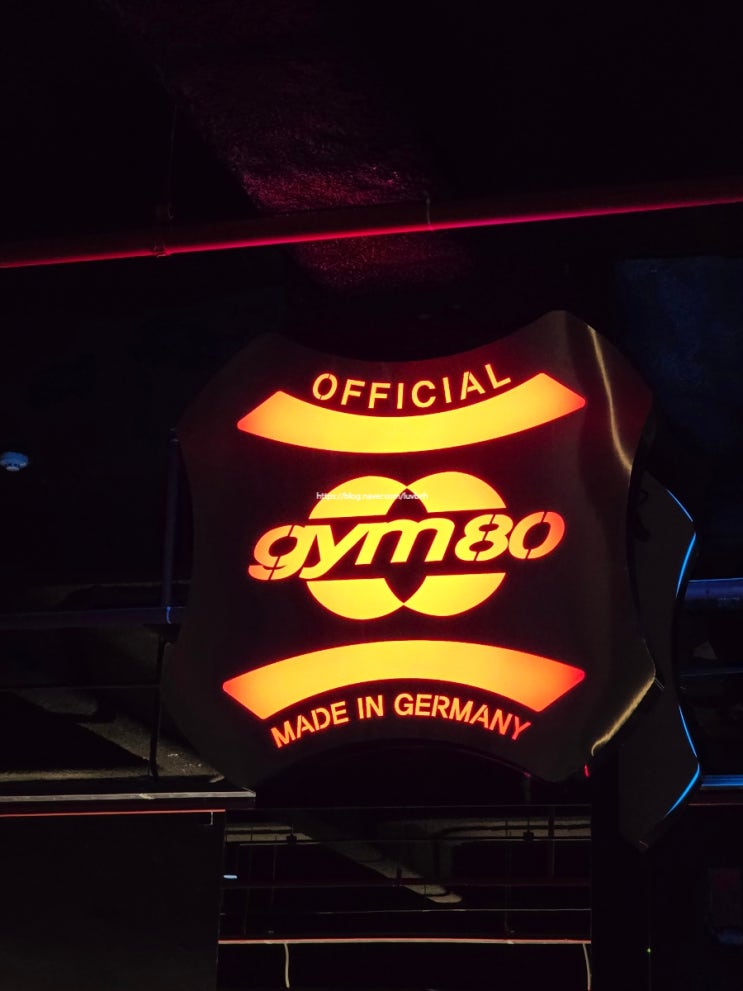  동해헬스장 트리트라움피트니스 일일권 내돈내산 후기