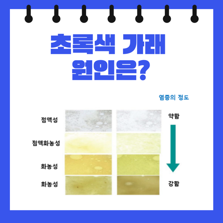  초록색 가래 콧물 덩어리 원인 약 항생제 치료법