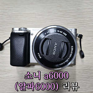 소니 a6000 알파 6000 미러리스 카메라 사용 장점, 단점 후기 및 촬영 사진 모음