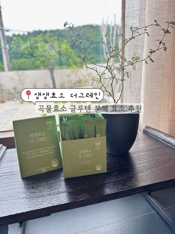  네츄럴굿띵스 생생효소 더 그레인 속이 더부룩할땐 NGT 곡물효소 추천