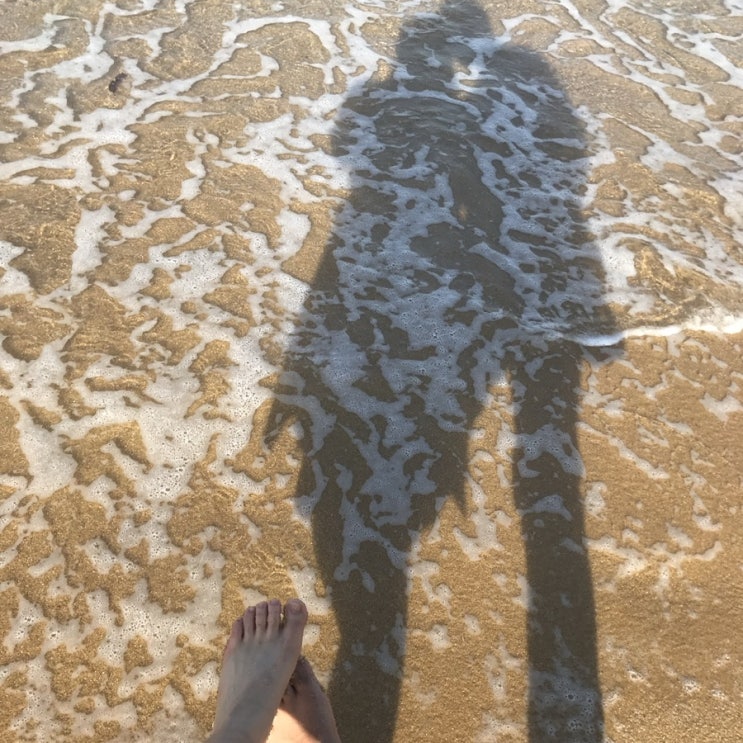  강릉•속초 먹고 또 먹고 피터콤마 저팔계콧구멍 인성참치