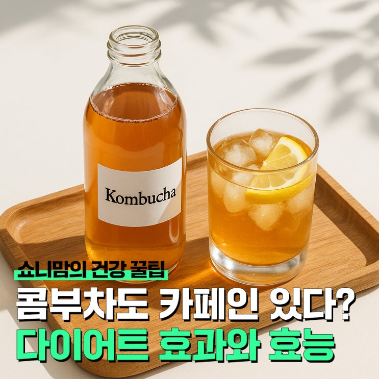 콤부차 다이어트 효과와 카페인 함량, 분말과 액체 유산균 차이