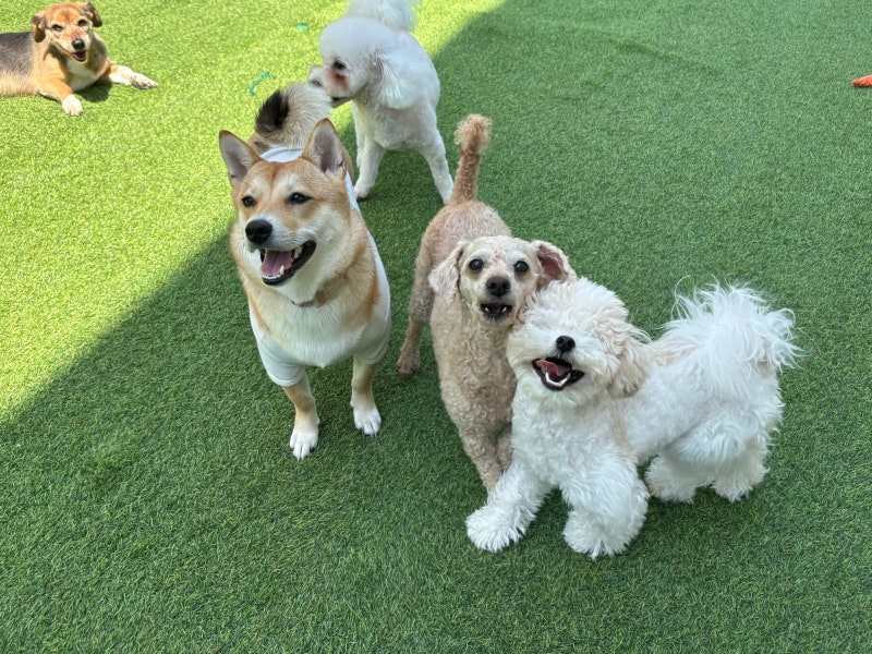 사진 11
