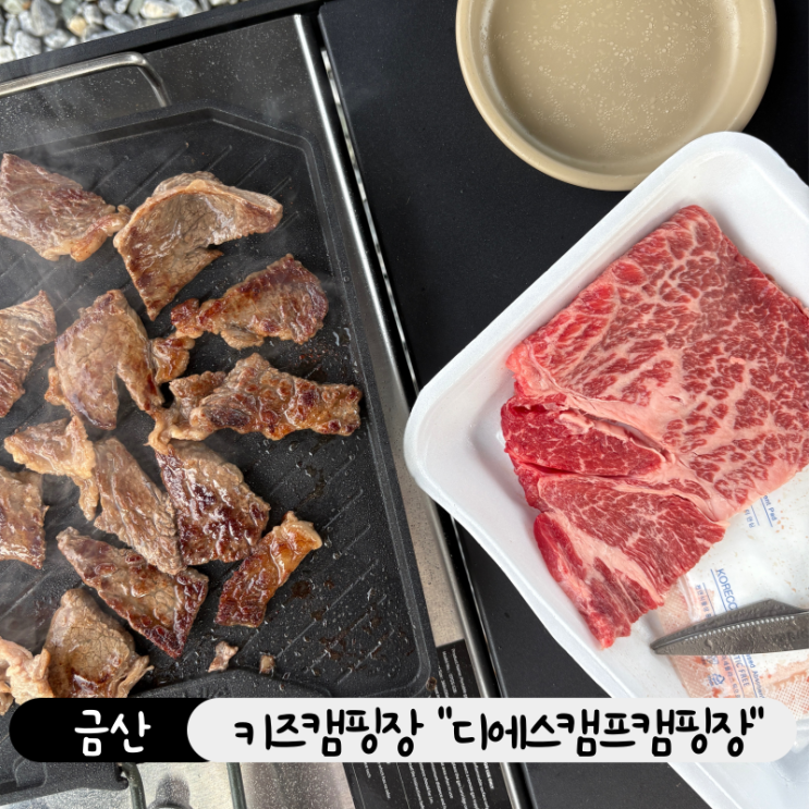  금산 용담댐 키즈 캠핑장 추천! 디에스캠프캠핑장 여름 캠핑 후기